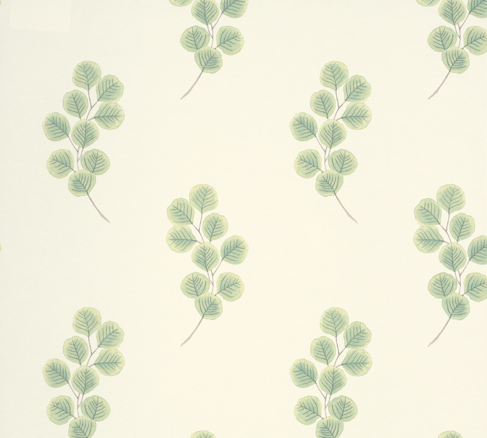 Обои Paint & Paper Library Botany Honesty Chelsea Green II 0360HOСHELS